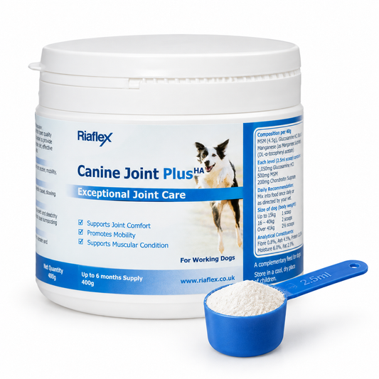 Canine Joint Plus ᴴᴬ