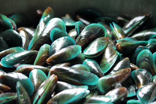 Green Lipped Mussel powder vs oil