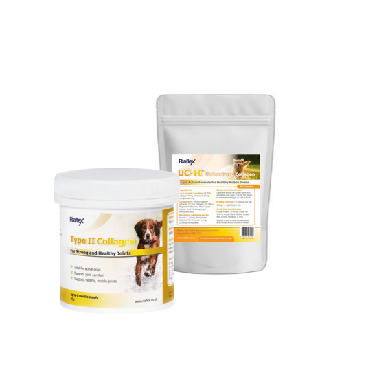 Collagen Bundle - Type 2 Hydrolysed & UC-II®