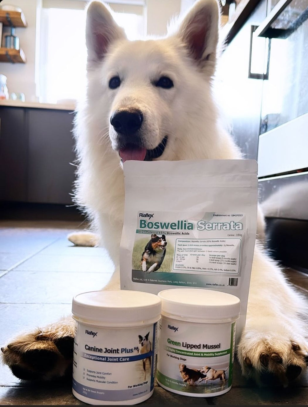 Customer photo
